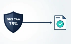 DNS CAA 证书颁发机构授权概念图