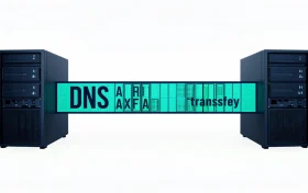 DNS 主从服务器之间 AXFR 区域传输的示意图